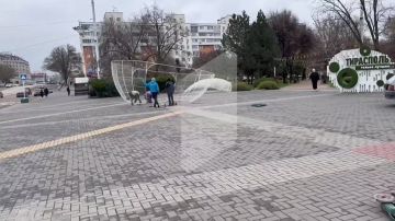 У арки с гренадерами в Тирасполе начали устанавливать новогодние фотозоны