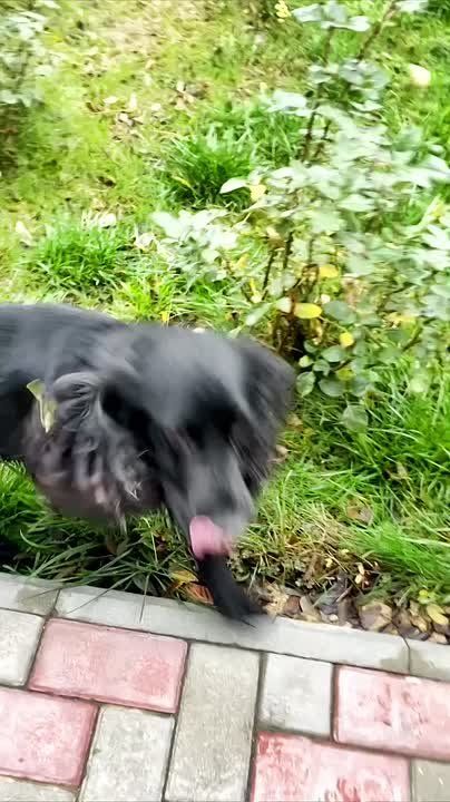 � ������� � ������ ����� ���������� ������ � ���������� ���������