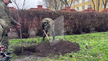 В Суворовском училище посадили «Аллею выпускников» – это новая традиция