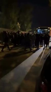 Фанаты избили игроков «Ниццы»: команда проиграла последние 6 матчей