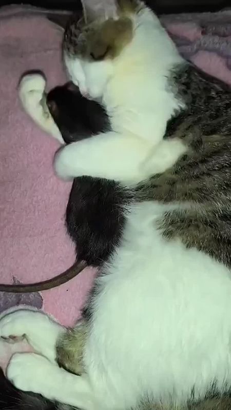 Сегодня во всём мире празднуют Международный День объятий