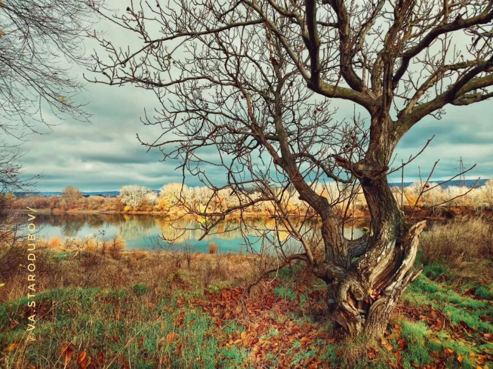 ������� ������ ����� ����, �������� �����, � �������