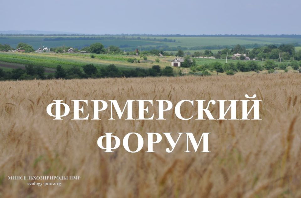 � ��������� �������, 9 �������, � ������������� ������ ������ ���������� �����