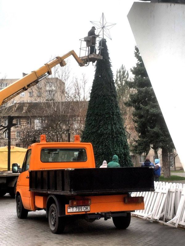 Помимо главной ёлки на площади в центре Тирасполя, новогодние красавицы будут и в других районах города