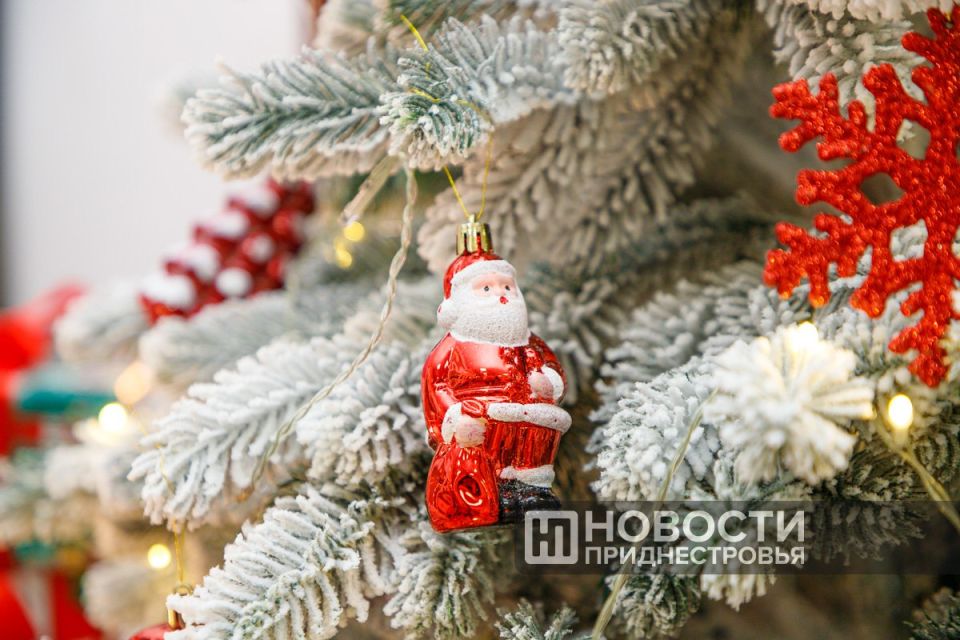 ���������� ��������-������������� ����� ������� ����� ����� �������