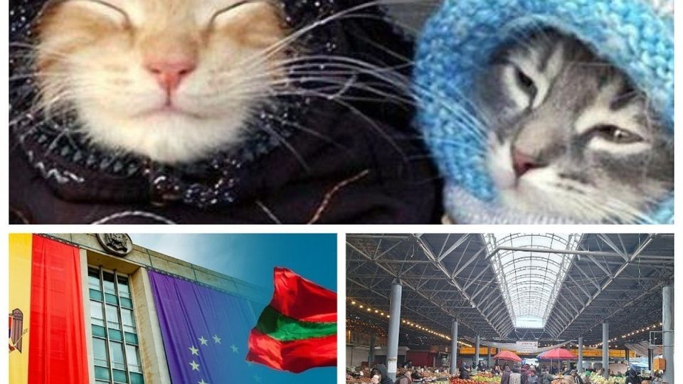 ���-5 ������� �������� � ������� 6 ������� 2025: � ������� ����� �������� �� ����� 1 ������� - ������� ��, ��� ������� ���������; ������ ������� �� ������ � �� ��� �������������; �������� ���������� �� ����������� ����� �������� ����������� ����� ���