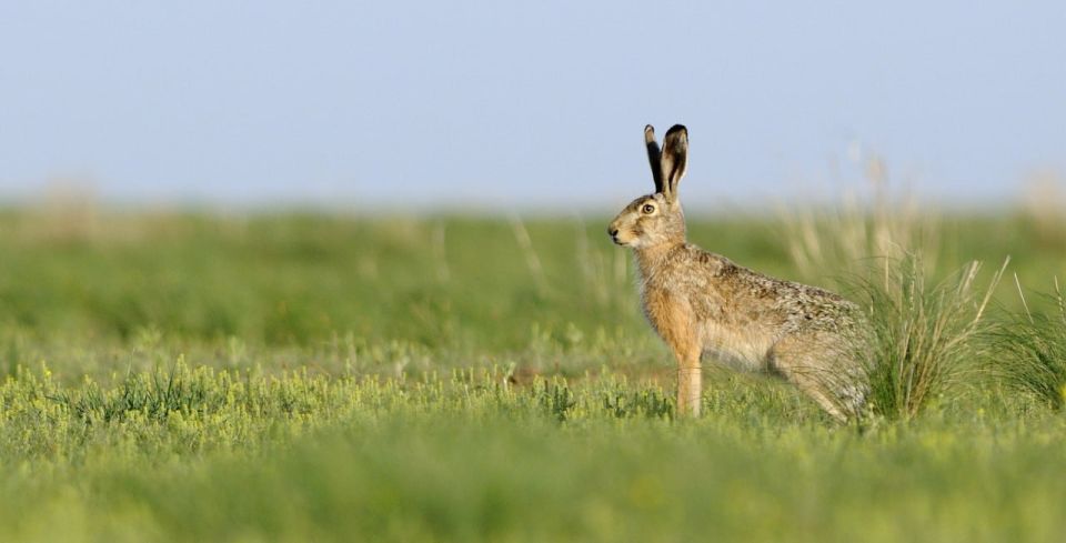 � ������������ � ������������� ��� �������� ����� ����� �� �����-������