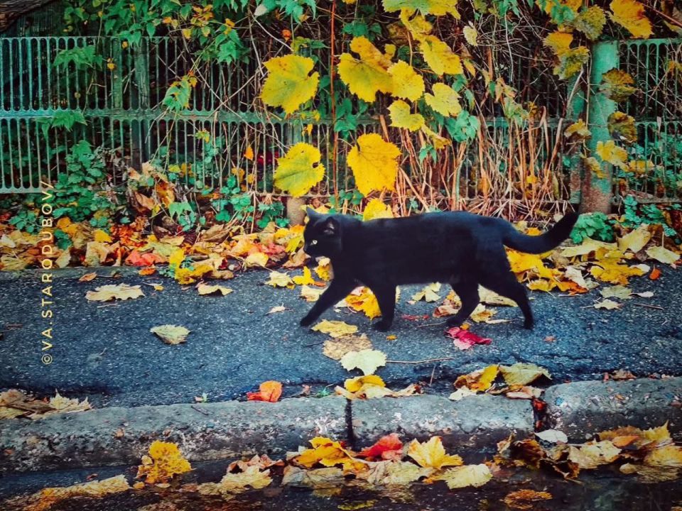 ����� ������� ������, � ��� ������ ���� ���������