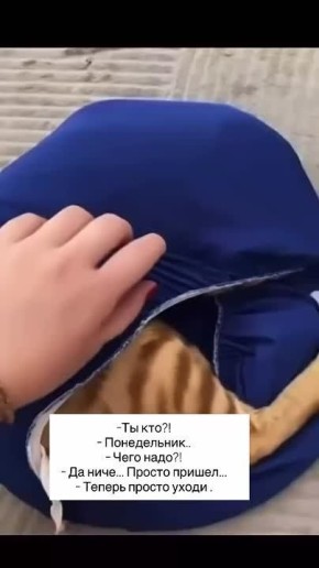 Утро понедельника