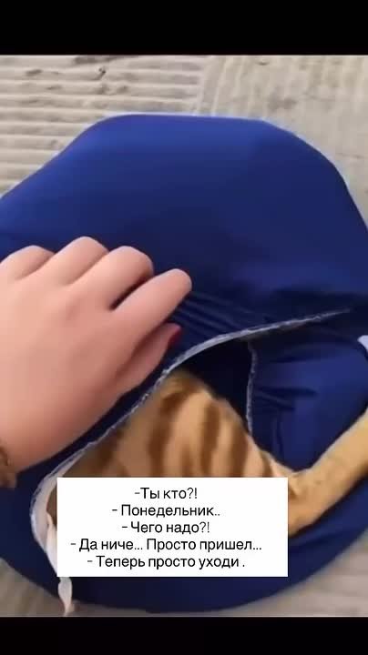 Утро понедельника