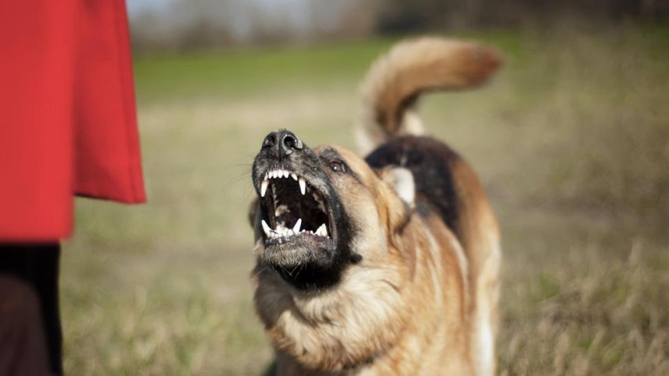 10 ������������ ���������� �� ������ ����� �� ������� ������, ����� ��� 1 ������