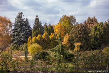 В дендропарке Тирасполя планируют построить теплицу и оранжерею — об этом шла речь на селекторном совещании в Правительстве