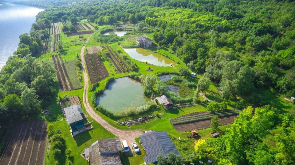 ������� ������ �� ����������� ���� � ��������� ������ �������� � �������� ������� ������ ��������� �������