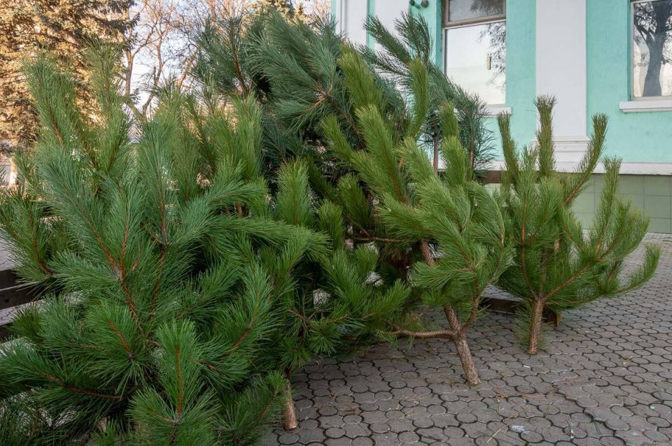 ���� � ����� � ���� ���� �� ����������