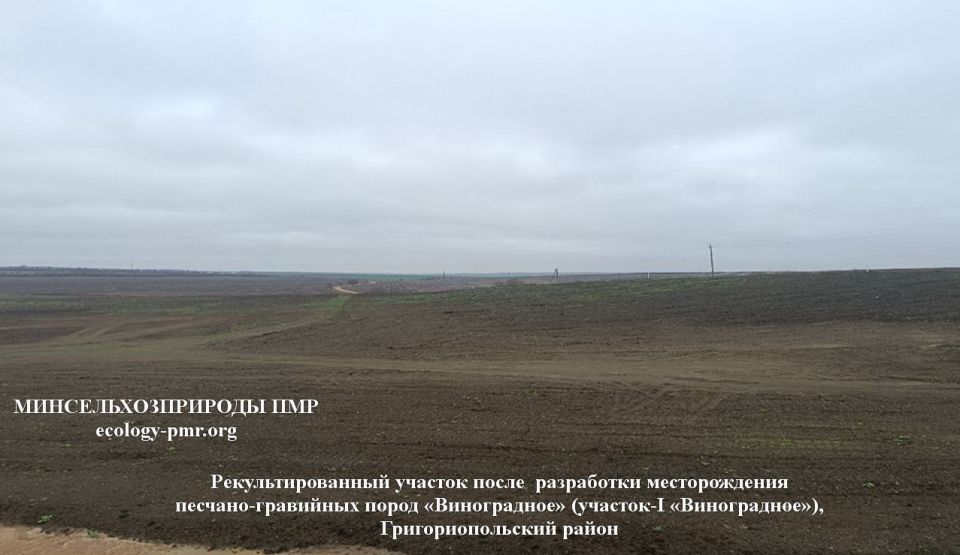 ���������������� ��� ������� �����