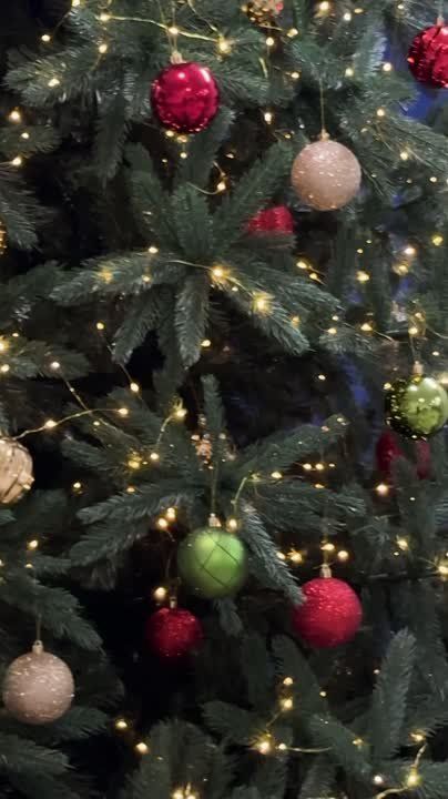 �������, ��� ��� ����� ��� ����� ������� ����� �������� �������� ���������