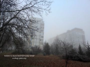  .  :    10       200-500 