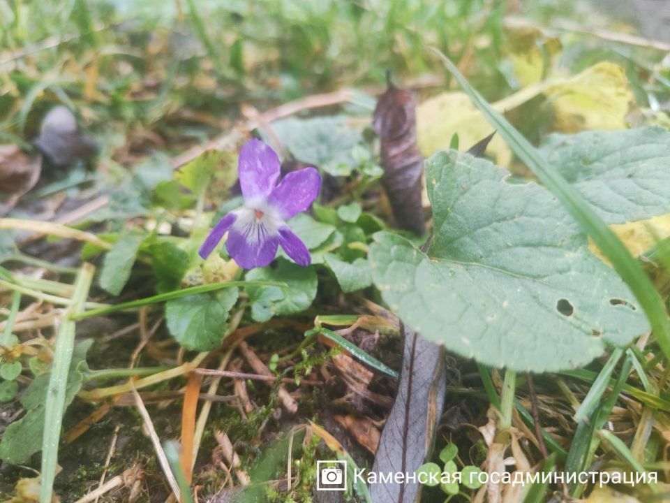 �� ��������� ����, � � ����-������ ������� ������