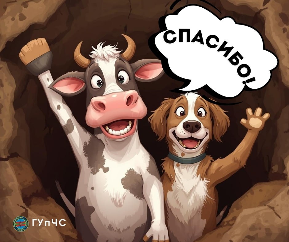 Бендерские спасатели помогли животным