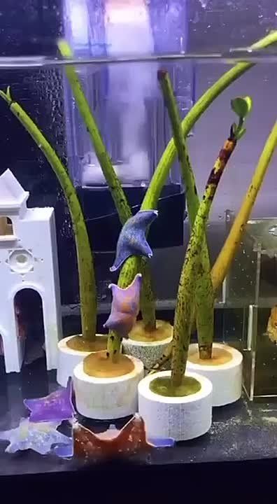 �������� ������� ������� ����