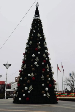 Столичную ёлку на центральной площади зажгут завтра в 18:00