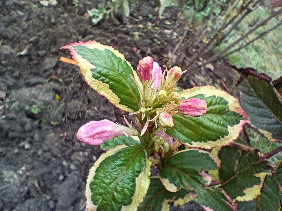 ��� ����� � ��� �������!. �������, ������� ������, ���� � �������, ������� � ������ �������� ������ � �� ���������� ������� �� ������ �����