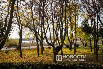 На следующей неделе без осадков, днем до 10 градусов тепла – прогноз Гидрометцентра