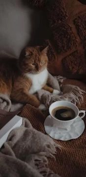 Доброе утро