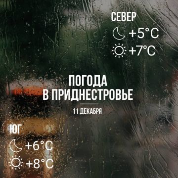 Днём – до +8°С, местами слабый дождь