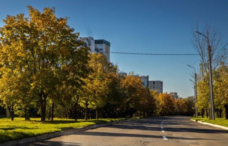 На следующей неделе осадков не ожидается