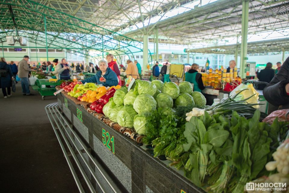 � ���������� ������ ���� �� ������ ����� ��������� ������� ���������� ��������� �������� �������