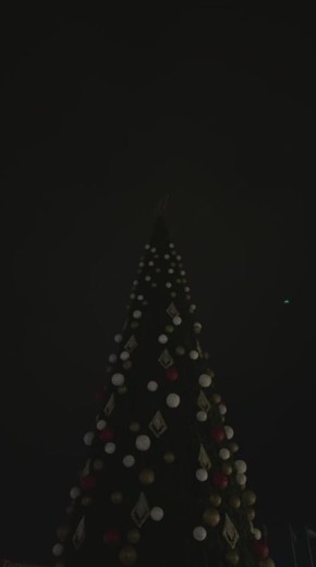 В центре Тирасполя зажгли ёлку