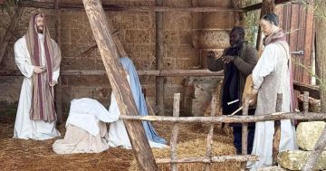 Преступник спрятался от полиции в рождественском вертепе в центре Болоньи