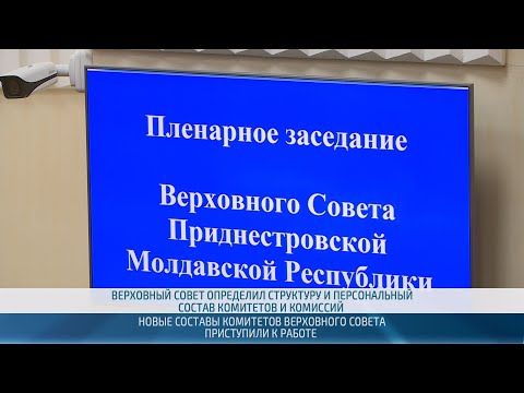 9 декабря Верховный Совет ПМР определил, кто из депутатов в каких комитетах и комиссиях будет работать и кто их возглавит