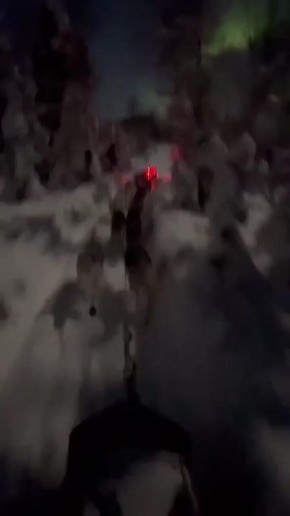 Житель Аляски снял самое красивое видео месяца — ночную поездку на собачьей упряжке под северным сиянием и полной Луной
