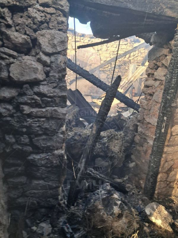 � ���������������� ������ ������ ���