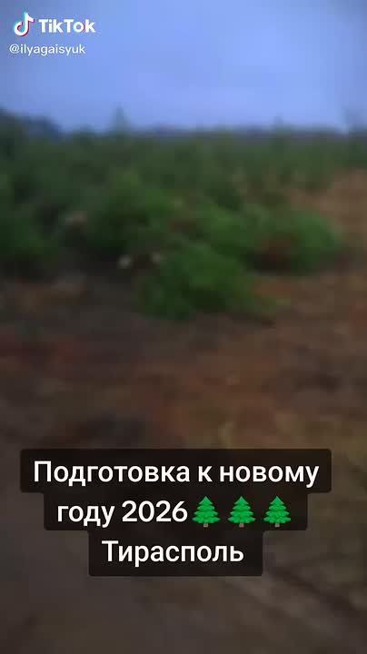 ���� ������������ � ���� � 20 ������� ������� �� ����� � ������ ��������� � ���������, �������� �������� � ���� �������