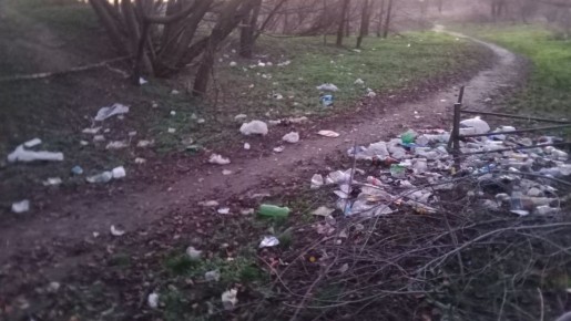 Приднестровские эко-активисты поднимают проблему в своих соцcетях