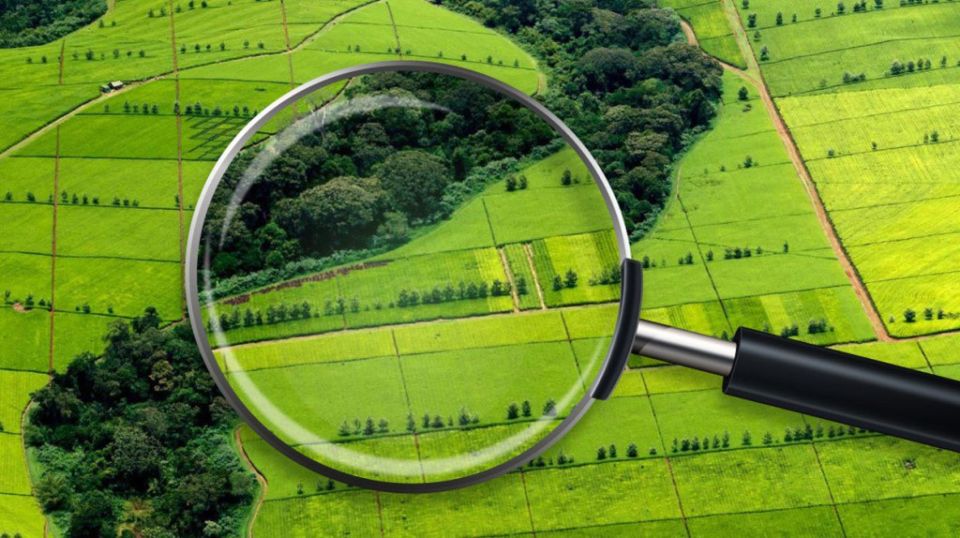 � ������������� ������������ ������ �� �������� �������� � ���������������� ��������� �������