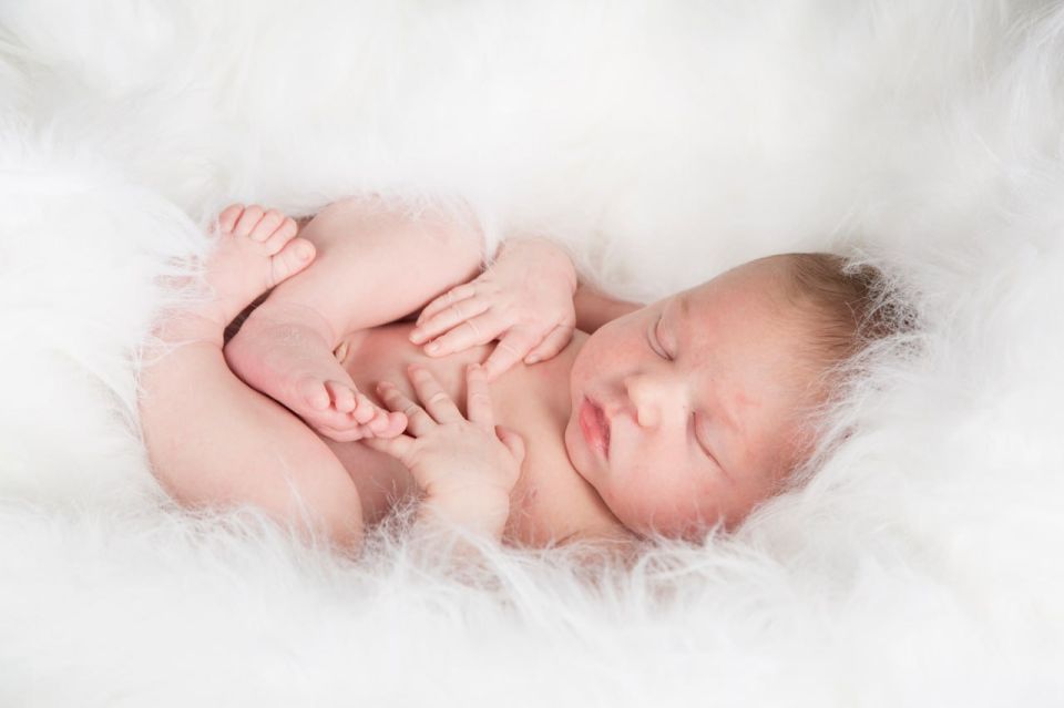 �� ������ � ��������� �������� 12 �������: