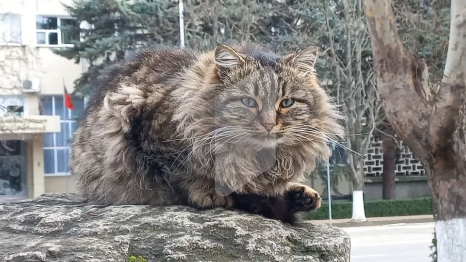 ������� � ���� ����������� ����� �������