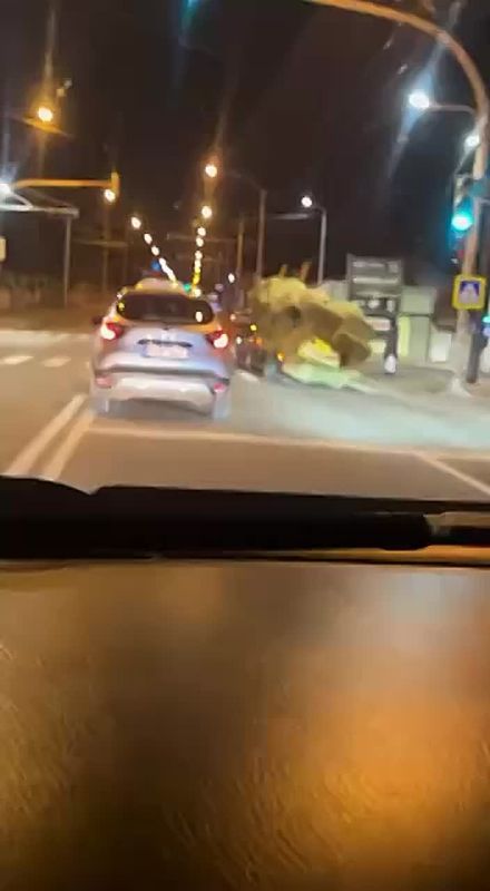 ���-�� �� ������ ��������. 2025 ���