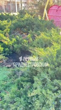 � ����������� � ������ ������ ���-�� ������� ������� ���