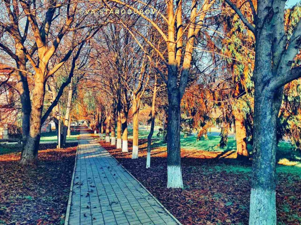 ���������. �������.. ����� ����, �������� ������ � ����� ������� ����