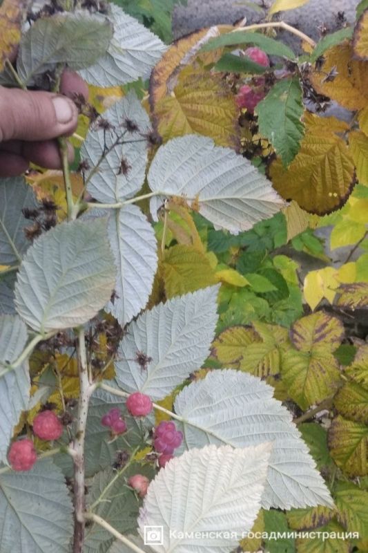 ����� ������� �����, ��� �� ������ ����� � �����: �� ������� ��� �����, ���� � �������