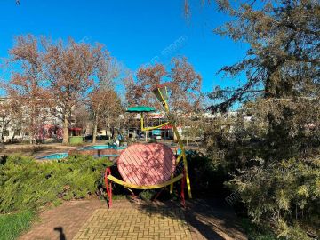 ������� ����. ������� ��� ������� 1 � 15 �� ������� �� ������ � ������� � �����������