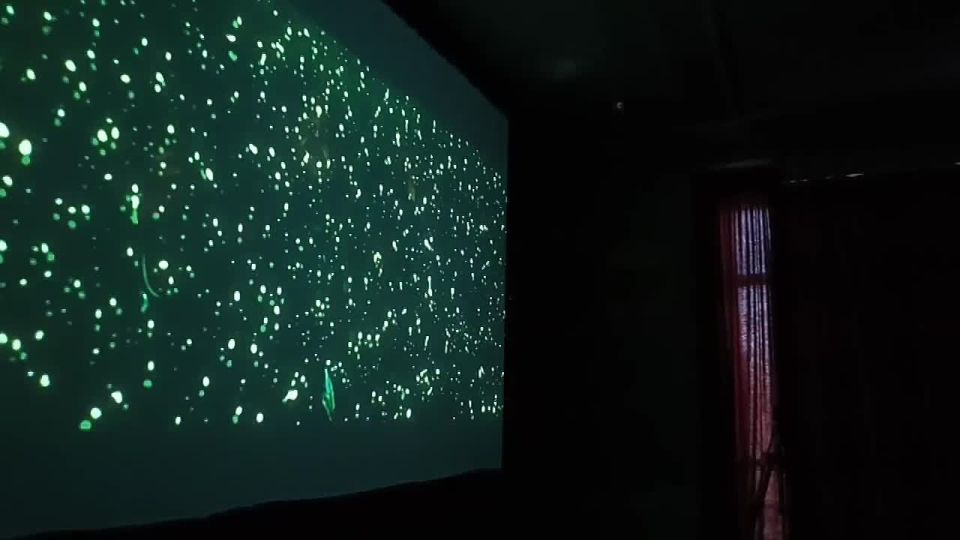 Сегодня в кинотеатре им. Горького начался двухдневный фестиваль «В гостях у новогодней сказки»