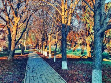 Дубоссары. Декабрь.. Тихий свет, холодный воздух и тёплое чувство дома