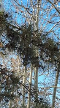 ������, �������, ����� � ������� � ������������� ��������