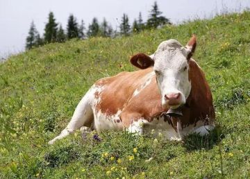 � ���� ������� ����� �� �������� ����� � ������ ���������